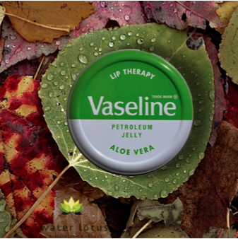 Vaseline Lip Therapy Tin (Aloe) 20g