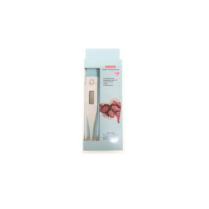 Digital thermometer